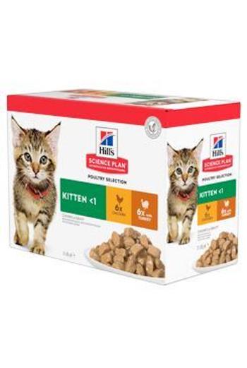 Hills cat  kapsa  KITTEN 12x85g - kuře/krůta