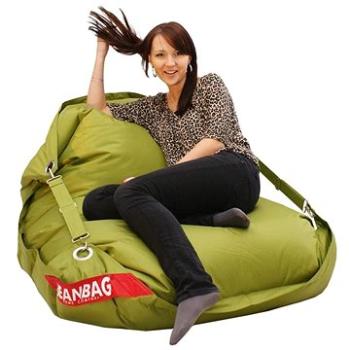 BeanBag Sedací pytel 189×140 comfort s popruhy green frog (BB189×140-greenfrog)