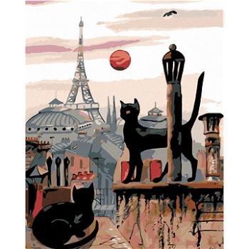 Malování podle čísel - Černé kočky a Eiffelovka v dáli (HRAmal01137nad)