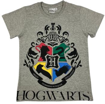Setino Dětské tričko - Harry Potter Hogwarts světle šedé Velikost - děti: 140