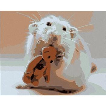 Malování podle čísel - Myška s medvídkem (HRAmal00536nad)