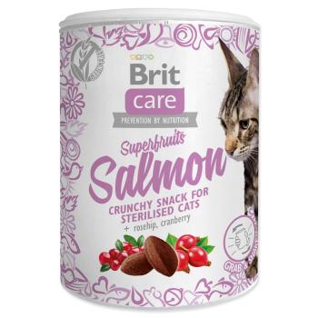 BRIT Care Cat Snack Superfruits Salmon 100 g