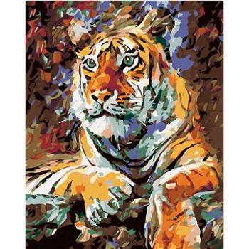 Malování podle čísel - Ležící tygr (HRAmal00369nad)