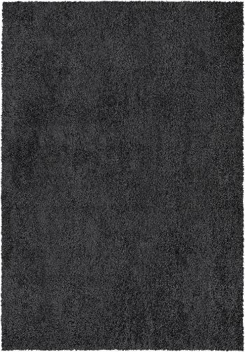 Festival koberce Kusový koberec Queens 1200 Anthracite - 60x110 cm Černá