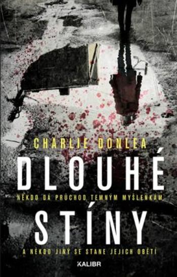 Dlouhé stíny - Charlie Donlea