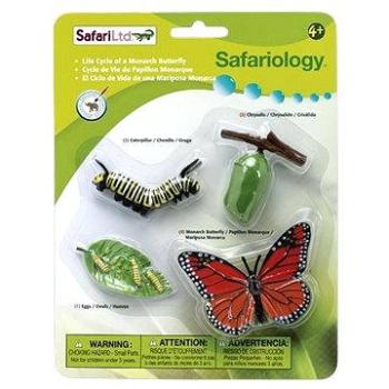 Safari Ltd. Životní cyklus - Motýl (95866622602)