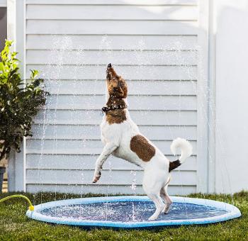Stříkací vodní hrací podložka pro psy