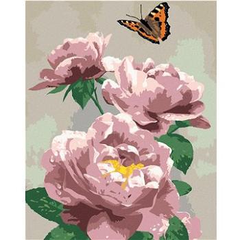 Malování podle čísel - Motýl a růžové růže (Howard Robinson) (HRAbz33447nad)