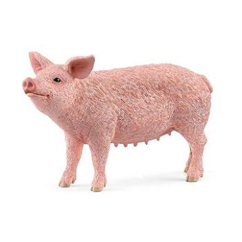 Schleich Zvířátko - prase 13933 (4059433358260)