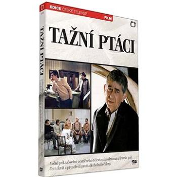 Tažní ptáci - DVD (ECT131)