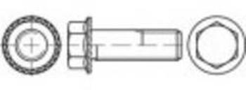 Šroub s přírubou TOOLCRAFT TO-5444700, N/A, M10, 20 mm, 200 ks