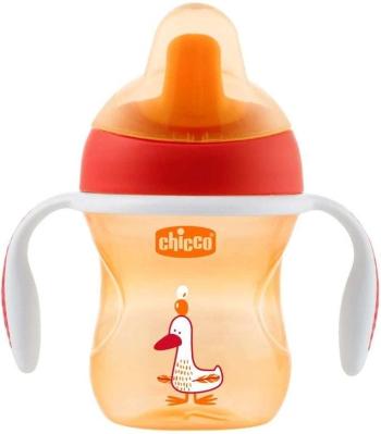 Chicco Hrneček Training s držadly 200 ml orange 6 m+