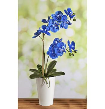 Magnet 3Pagen Modrá orchidej