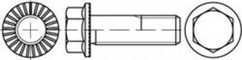 Šestihranné šrouby TOOLCRAFT TO-5444526, N/A, M12, 20 mm, 100 ks