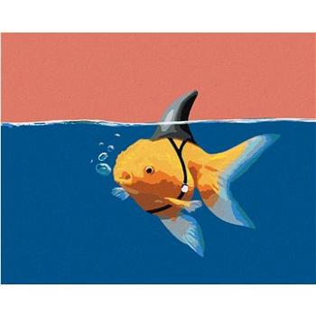 Malování podle čísel - Zlatá rybka nebo žralok (HRAbz33529nad)