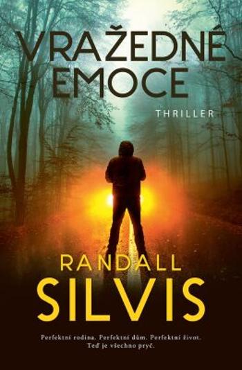 Vražedné emoce - Randall Silvis - e-kniha