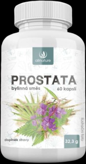 Allnature Prostata bylinný extrakt 60 kapslí
