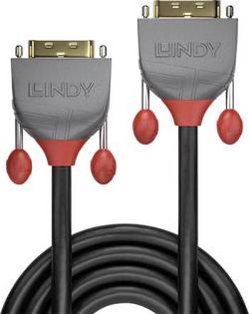 DVI kabel LINDY [1x DVI zástrčka 24+1pólová - 1x DVI zástrčka 24+1pólová] černá 0.50 m