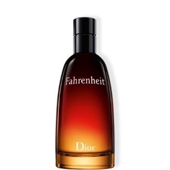 Dior Fahrenheit Eau de Toilette toaletní voda 100 ml