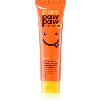 Pure Paw Paw Mango balzám na rty a suchá místa 25 g