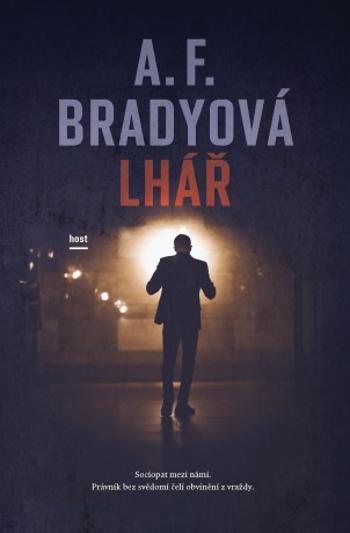 Lhář - A. F. Bradyová - e-kniha