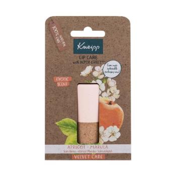 Kneipp Lip Care Apricot & Marula 4,7 g balzám na rty pro ženy