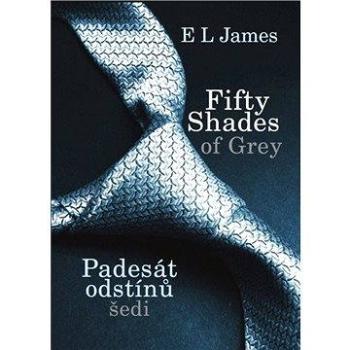 Fifty shades of Grey - Padesát odstínů šedi (978-80-738-8705-6)