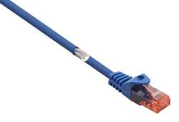 Síťový kabel RJ45 Basetech BT-1719414, CAT 6, U/UTP, 15.00 m, modrá