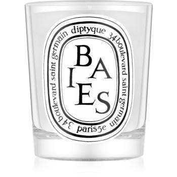 Diptyque Baies vonná svíčka 190 g