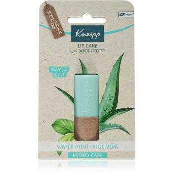 Kneipp Aloe Vera balzám na rty 4.7 g