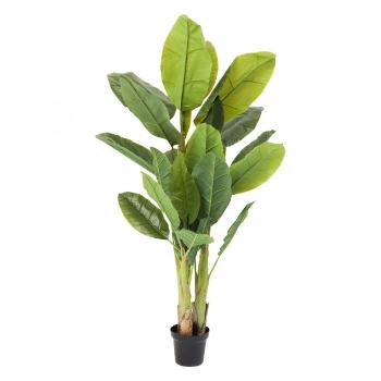 Sada 2 ks – Dekorativní rostlina Banana Tree 180 cm