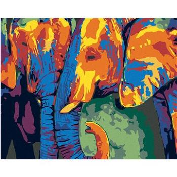 Malování podle čísel - Barevný sloní pár (HRAmal01015nad)