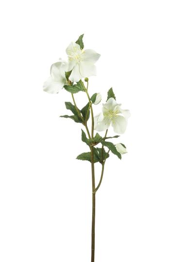 Dekorace umělá květina Čemeřice Hellebore white - 44 cm P810480