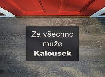 Mujkoberec.cz Rohožka Kalousek 40x60 cm - 40x60 cm Černá