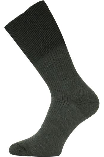 Lasting WRM 609 zelené vlněné ponožky Velikost: (42-45) L ponožky