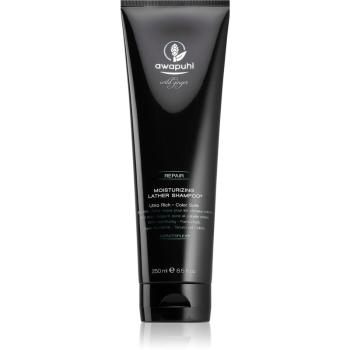 Paul Mitchell Awapuhi Wild Ginger hydratační šampon pro barvené vlasy 250 ml