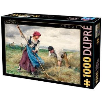 D-TOYS Puzzle Ženci 1000 dílků (5947502872788)