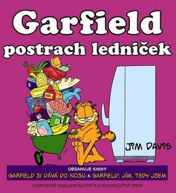 Garfield postrach ledniček - Davis Jim