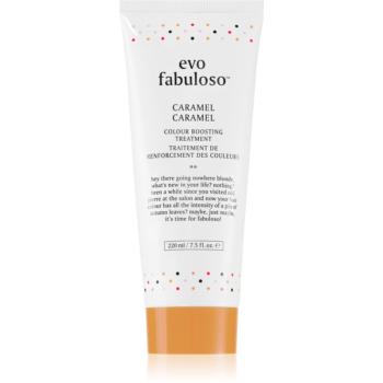 EVO Fabuloso Colour Boosting Treatment maska na vlasy pro zvýraznění barvy vlasů odstín Caramel 220 ml