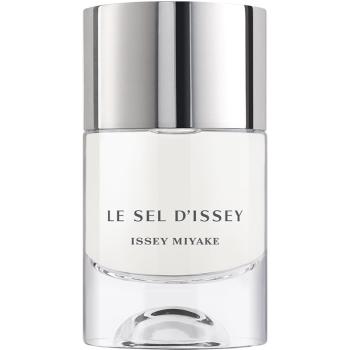 Issey Miyake Le Sel d'Issey toaletní voda pro muže 50 ml