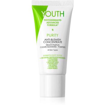 YOUTH Purity Anti-Blemish Concentrate lokální péče proti akné 20 ml