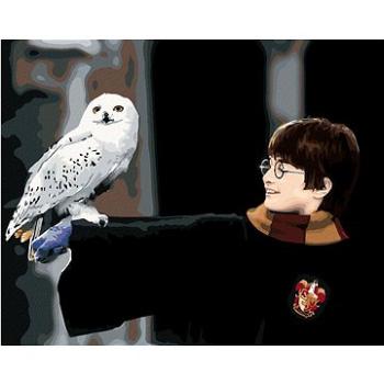 Harry Potter s Hedvikou na ruce, 40×50 cm, bez rámu a bez vypnutí plátna (6063510)