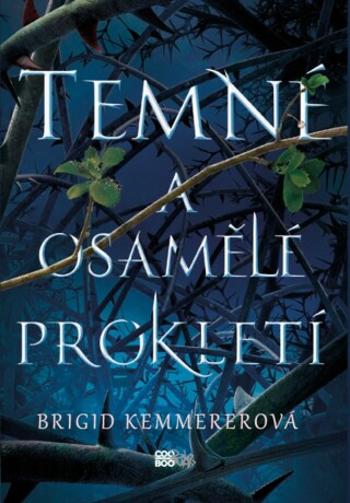 Temné a osamělé prokletí - Brigid Kemmererová - e-kniha