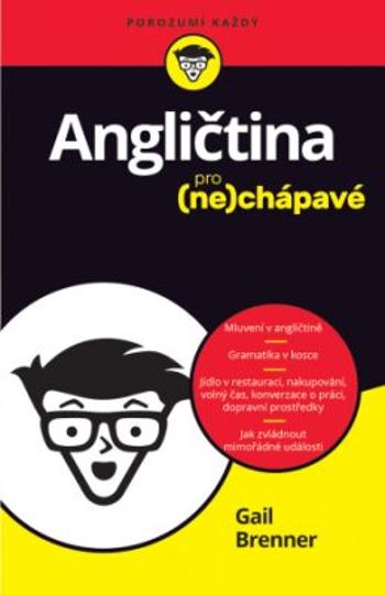 Angličtina pro nechápavé - Gail Brenner