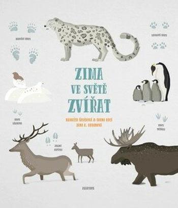 Zima ve světě zvířat - Markéta Špačková, Irena Kocí