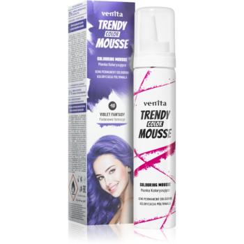 Venita Trendy Color Mousse barvicí pěna bez amoniaku odstín No. 40 - Violet Fantasy 75 ml