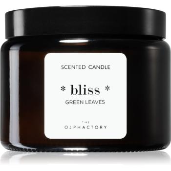 Ambientair The Olphactory Green Leaves vonná svíčka Bliss 360 g