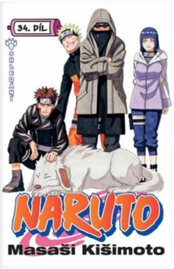 Naruto 34 - Shledání - Masashi Kishimoto