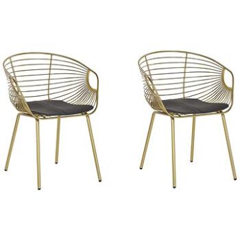  Sada 2 kovových židlí zlatá HOBACK, 208370 (beliani_208370)