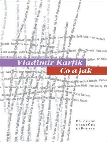 Co a jak - Karfík Vladimír